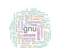 Censorship of the answer to Sandra Loosemore defamation of the founder of GNU project on gnu-misc-discuss mailing list 30th October 2019