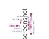 Emacs Lisp: take a screenshot withing GNU Emacs and `maim`